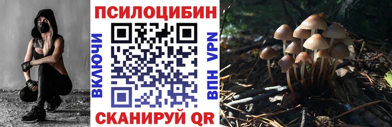 Галлюциногенные грибы Psilocybine cubensis  наркота  Мурино 